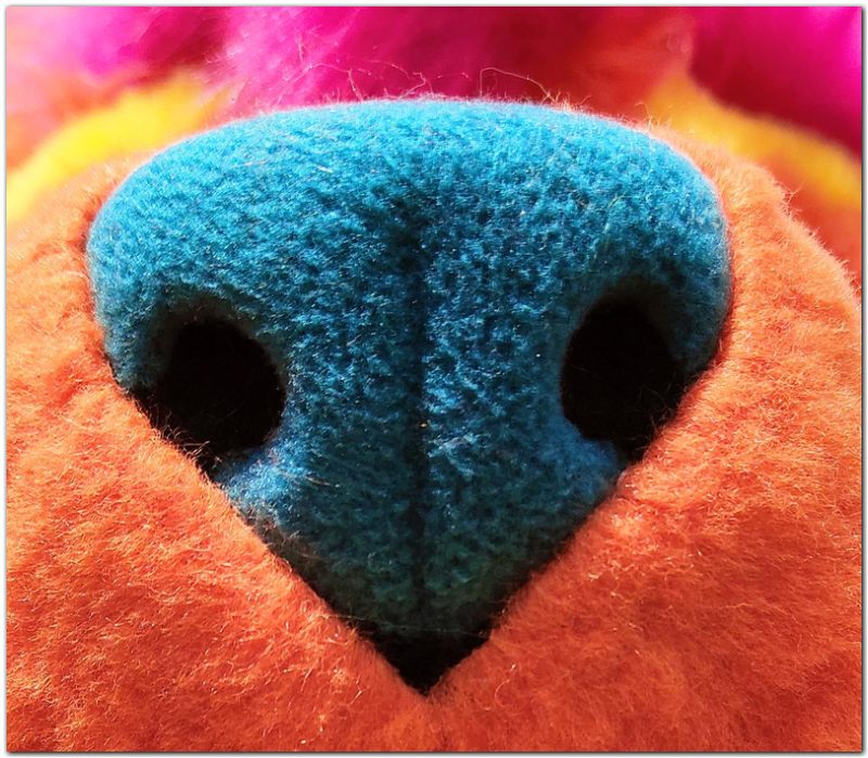 Nose of fursuit project Fox fursuit #Fox fursuit_project-fursuit #furr_club #fursuit