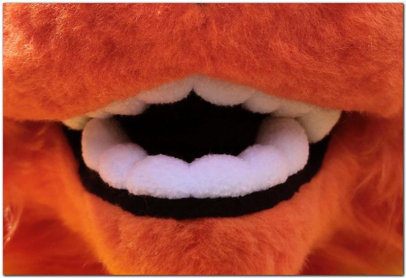 Tongue for Rangi the Fox fursuit project #Fox fursuit_project-fursuit #furr_club #fursuit