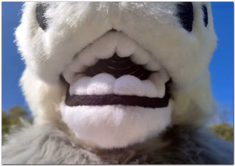 Tongue for Rangi the Dog fursuit project #Dog fursuit_project-fursuit #furr_club #fursuit