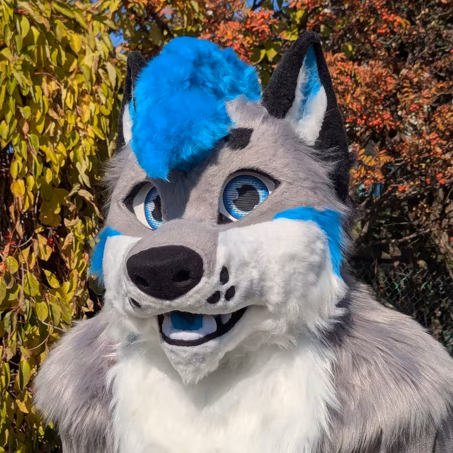 #furr_club #fursuit #Wolf fursuit