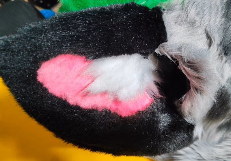 Photo of the production of the fursuit's head and its parts.