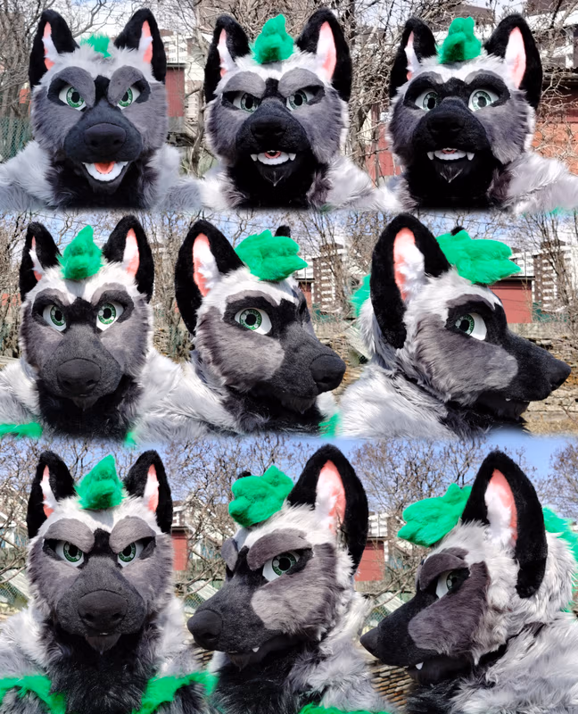 Photo gallery of the fox fursuit named Booker Fox