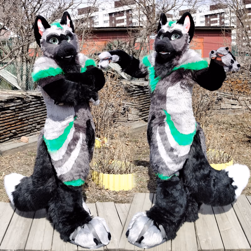 Photo gallery of the fox fursuit named Booker Fox