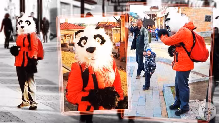 Panda