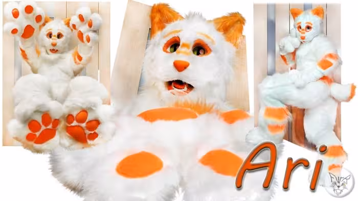 Ari Tej Cat