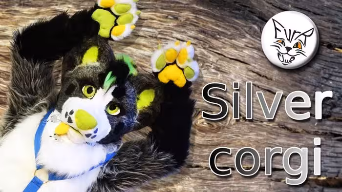 Silvery Corgi