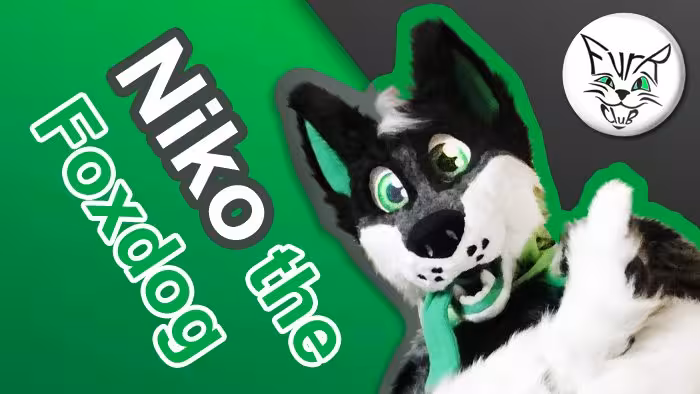 Niko the Foxdog