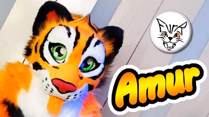 Amur the Tiger