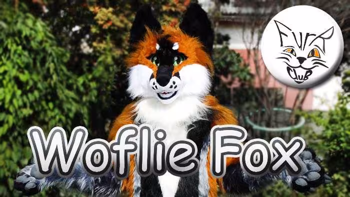 Woflie Fox