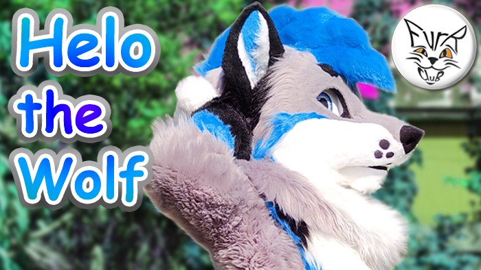 Helo the Wolf